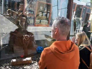 ZOO otvárajú brány! Uvoľňujú sa opatrenia proti slintačke a krívačke