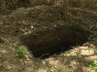 Fanúšikovia CSKA Sofia vykopali hrob vlastníkovi klubu