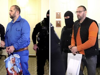 ŠTS oslobodil Radovana V. a Ladislava A. spod obžaloby za vraždu mafiánskeho kata Niguta