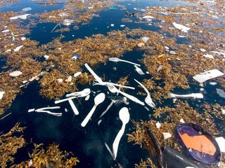 Karibik, aký nepoznáte. Plasty a odpad vo vode