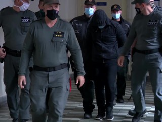 Súd vymeral mužovi z Čiech trest. Počas októbrových protestov hádzal do policajtov dlažobné kocky