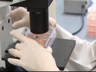 Vývoj vakcíny proti koronavírusu. Najskôr sa zaočkujeme o rok