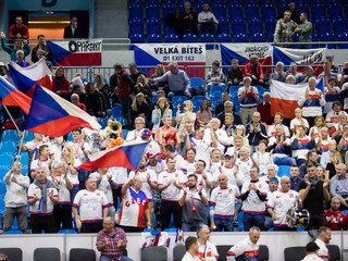 Davis Cup: Česi krôčik od postupu. Nad Slovenskom vedú po úvodnom dni 2:0