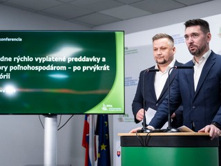 Európska kontrola na Slovensku: Preverujú sa miliónové dotácie a prepojenia na oligarchov
