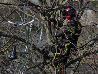 Kuriózny nález pri pieskovisku: Bicykel bol zamknutý na konári stromu