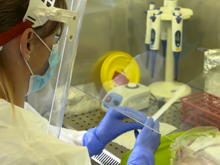 Slováci vynašli metódu, ktorá môže testovať ľudí na Covid-19 pomocou slín