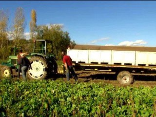 Slovensko sa pripravuje na klimatické zmeny: ministerstvo plánuje obnovu pôvodne odvodňovacích kanálov na poliach