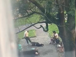 Brutálny útok v parku: Ženu kopali do hlavy, svedok to natočil na video
