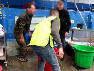 Akcia Europol: Zaznamenal nový rekord. Ide o najčastejšie pašované zviera