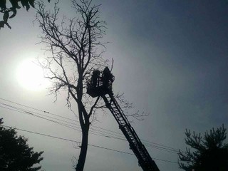 Hasiči museli pre nepriaznivé počasie zasahovať v niekoľkých krajoch