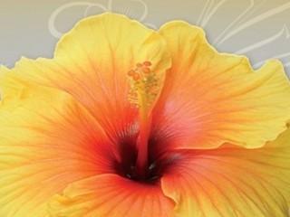 Je to naozaj len Ilúzia šťastia? Oddýchnite si pri skvelej knižnej novinke