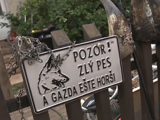 Posun v prípade psov, ktoré napadli matku s dieťaťom. Majiteľ prišiel o niečo iné