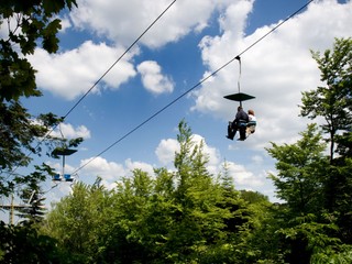 REBRÍČEK: Bratislava je na popredných priečkach najzelenších miest na svete