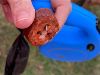 Majitelia psov musia byť na pozore. Niekto úmyselne dáva do trávy potravu s nebezpečnou prísadou