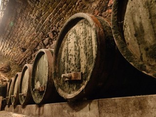 Burčiaková idylka sa zmenila na boj o život. Traja ľudia sa priotrávili v pivnici
