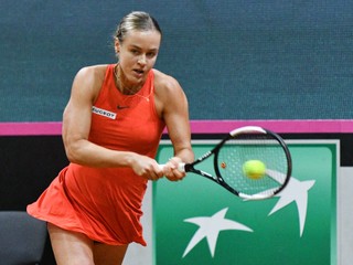 A. K. Schmiedlová opäť so skalpom bývalej svetovej jednotky Venus Williamsovej