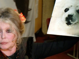 Trpká pravda Bardotkinho života! Milovala zvieratá viac ako vlastného syna, vymenila by ho za psa!