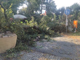 Nešťastie v Karlových Varoch: Na stánky padol strom, na mieste boli zranení