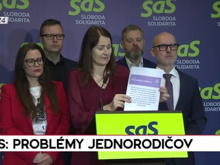 Tlačová beseda SaS: Definícia jednorodičovských rodín