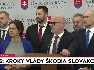 Tlačová beseda strany SAS: Kroky vlády škodia Slovákom