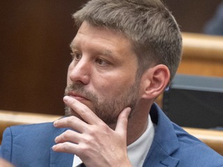 Šimečka: Ak sa ukáže, že v dotáciách je účtovný problém, mama to zaplatí