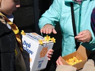 Deň narcisov oslavuje 30 rokov. Pomáha tisícom pacientov na Slovensku