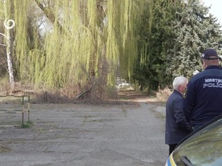 Padajúce stromy pri priemyselnom parku ohrozujú chodcov aj cyklistov