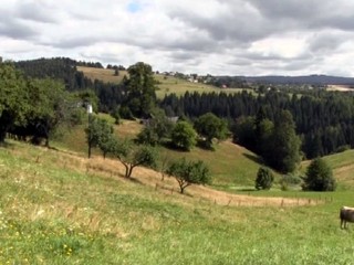 Na východnom Slovensku protestovalo 24 starostov proti spaľovni