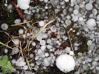 Na západe Slovenska hrozia v noci búrky, SHMÚ vydalo výstrahu