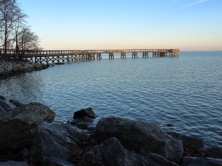 Neuveriteľné: Ukrýval sa na Zemi milióny rokov a teraz ho objavilo 9-ročné dievča