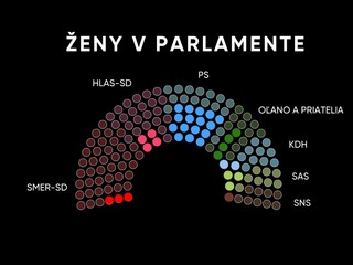 Voľby do NR SR 2023: Len 22 percent zo zvolených poslancov sú ženy