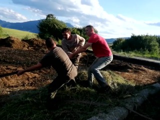 Mladí ľudia zachraňovali teliatko. Odpojilo sa od stáda zrejme preto, lebo ho ohrozoval medveď