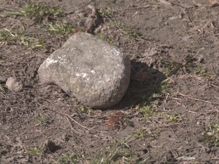 Agresor v centre mesta: Kameňom ničil autá, kopal do dverí bytu