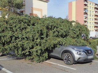 Silný vietor zlomil 10-metrový vianočný stromček, poškodil dve autá