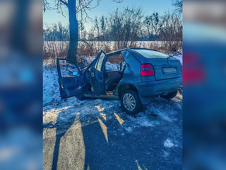 Dopravná nehoda s tragickým koncom: Senior zišiel z cesty a narazil do stromu