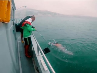 Majstrovstvá Európy v zimnom plávaní: Slováci získali 11 medailí