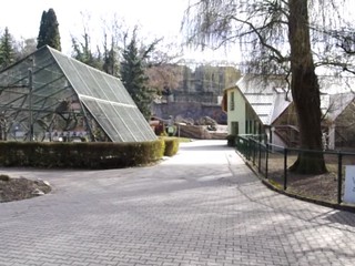 Aj  zoologická záhrada má homeoffice, ale tak ako si to predstavujú deti s opicou či šelmou doma, by to nešlo