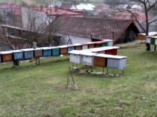 Mladá starostka obce Povina pomohla včelárom vlastnými financiami