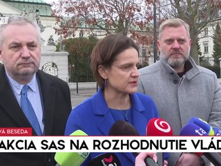 Tlačová beseda: Reakcia SaS na rozhodnutie vlády