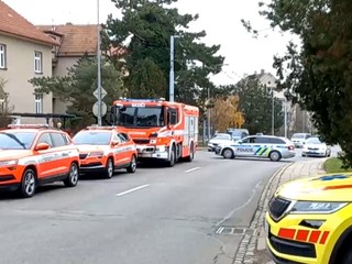 Hrôzostrašný prípad vraždy. Vrahom vlastnej matky má byť jej dieťa