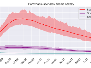 Inštitút zdravotnej politiky zverejnil dlho utajovaný scenár možného vývoja nákazy