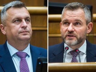SNS podporí v druhom kole volieb Petra Pellegriniho