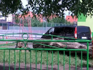 Pitva preukázala, prečo Adam zomrel na telesnej výchove