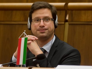 Maďarská vláda zablokovala niekoľko ukrajinských webových stránok