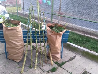 Na strednom Slovensku prebehla razia. Policajti našli 9 vriec marihuany