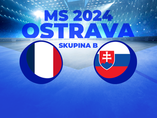 Francúzsko - Slovensko