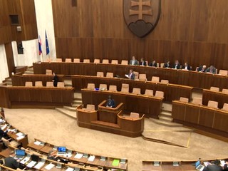 Návrh SNS o politických stranách je pascou pre mladých ľudí