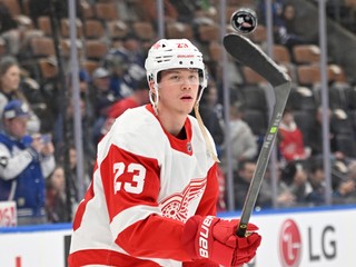 Švédov posilní na šampionáte Raymond, v kádri už 14 hráčov z NHL