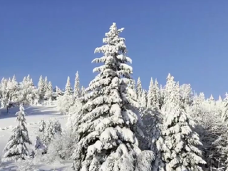 Záujem o tatranské Vianoce rastie. Blížiace sa sviatky ľudí lákajú do veľhôr