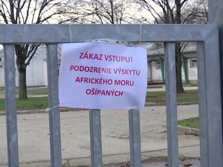 Africký mor ošípaných: Likvidujú celý chov, až 20 tisíc svíň domácich